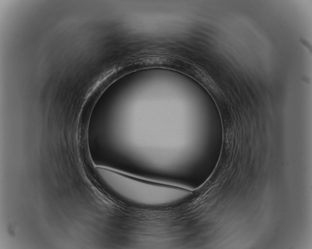 X0000091980722200709061152