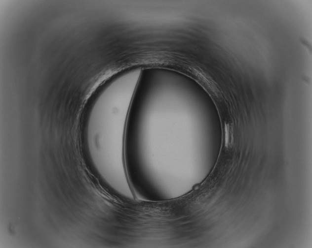 X0000091980723200709061152