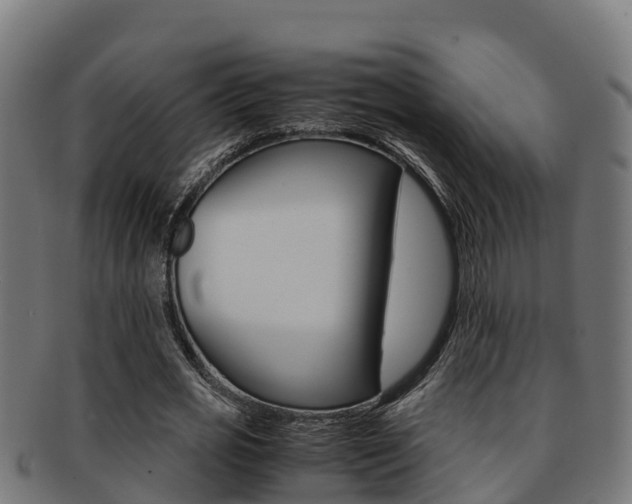 X0000091980725200709061152