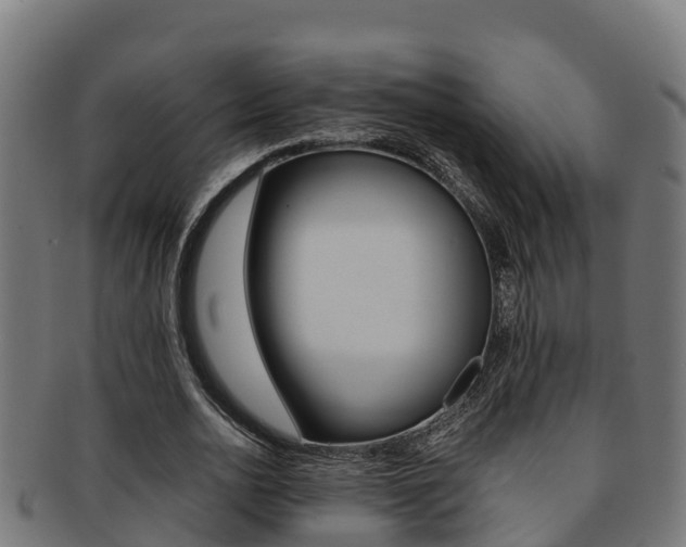 X0000091980726200709061152