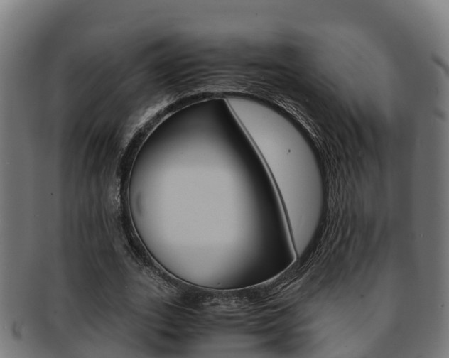 X0000091980727200709061152
