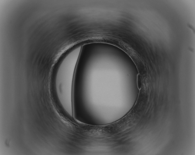 X0000091980728200709061152