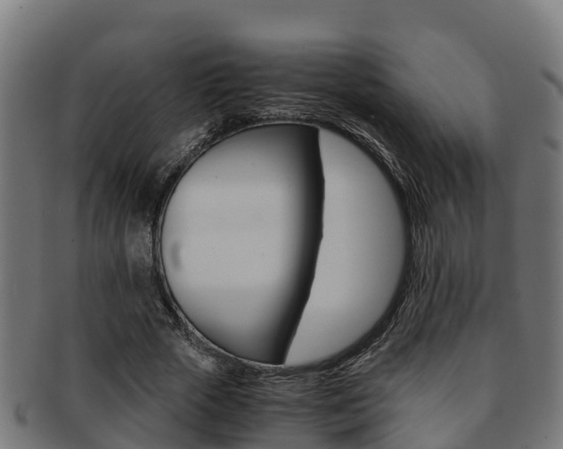 X0000091980729200709061152