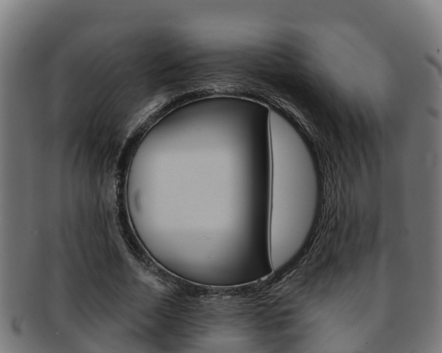 X0000091980730200709061152