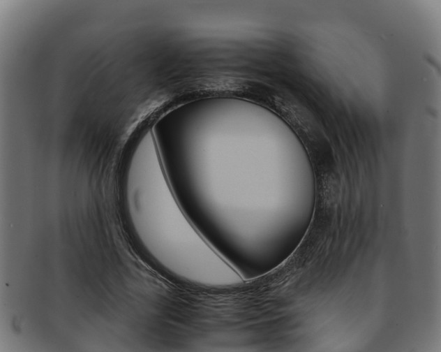 X0000091980731200709061152