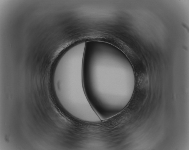 X0000091980732200709061152