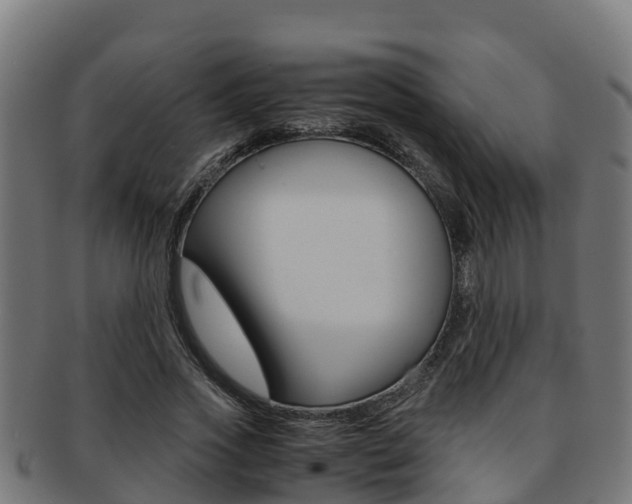 X0000091980733200709061152