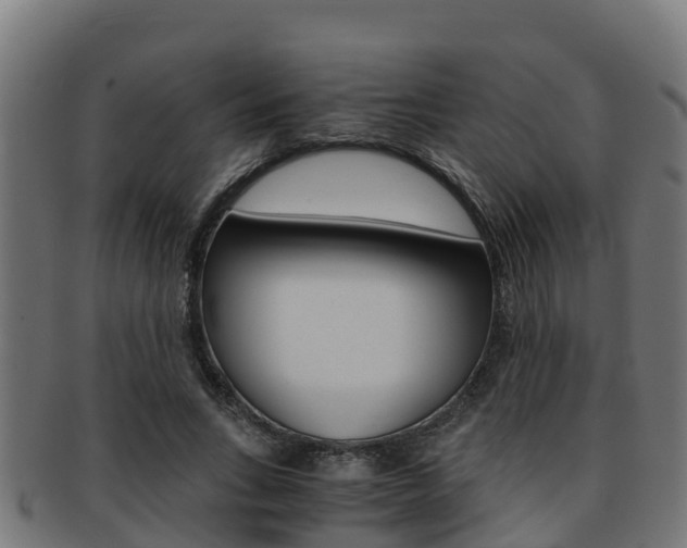 X0000091980735200709061152