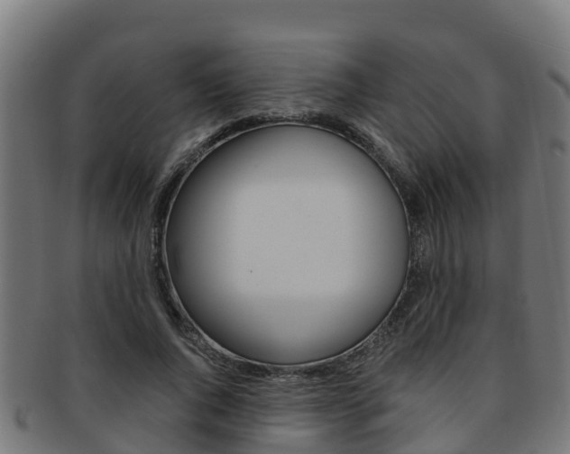 X0000091980736200709061152