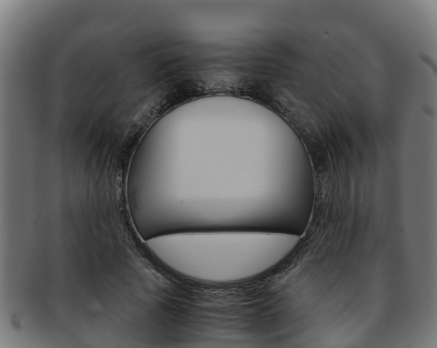 X0000091980737200709061152
