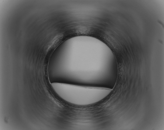 X0000091980738200709061152
