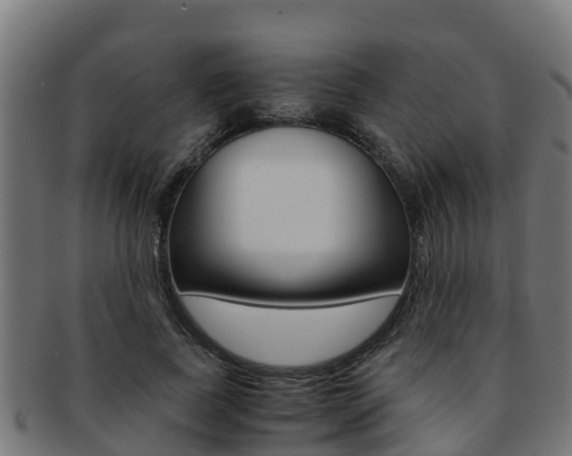X0000091980739200709061152