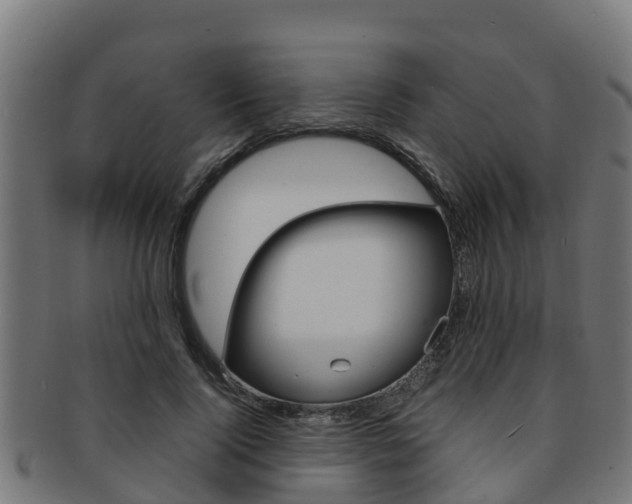 X0000091980740200709061152