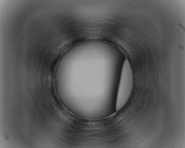 X0000091980741200709061152