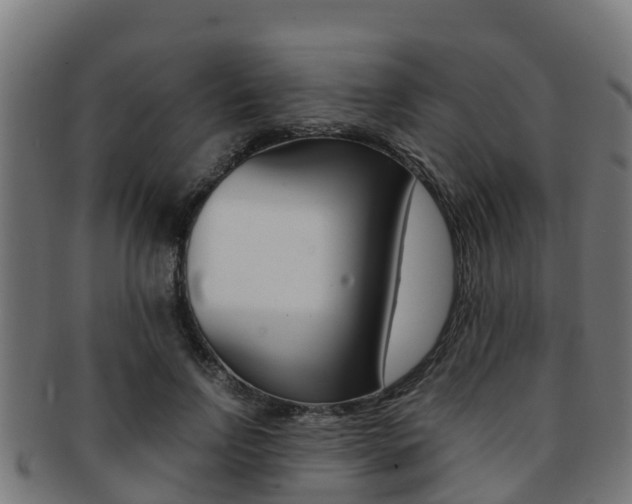 X0000091980742200709061152