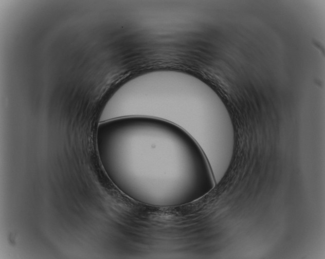 X0000091980743200709061152