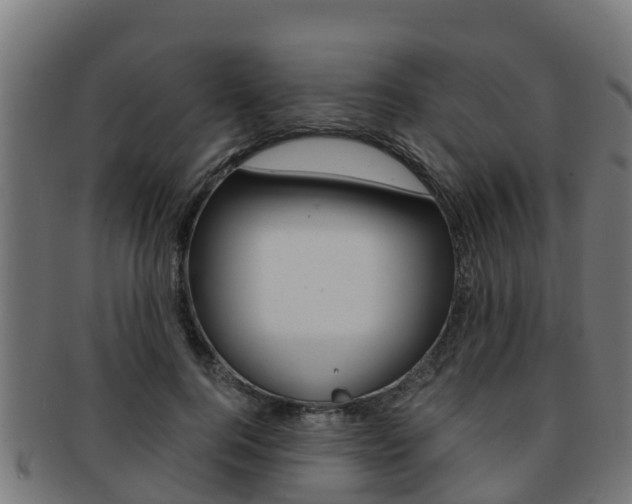 X0000091980744200709061152