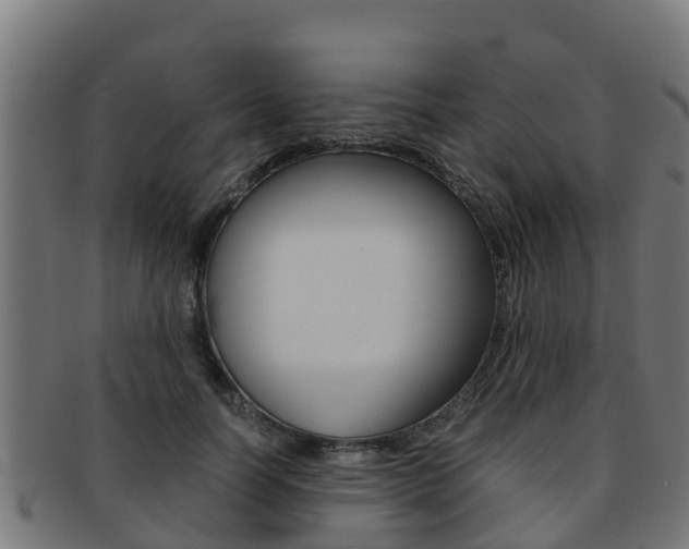 X0000091980746200709061152