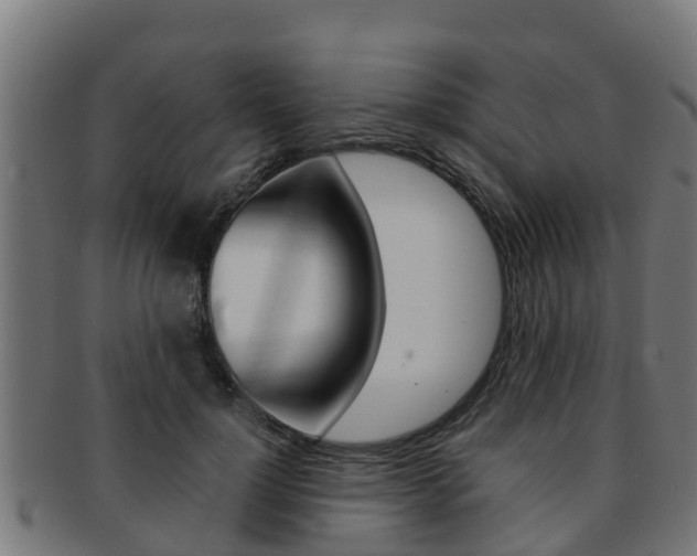 X0000091980748200709061152