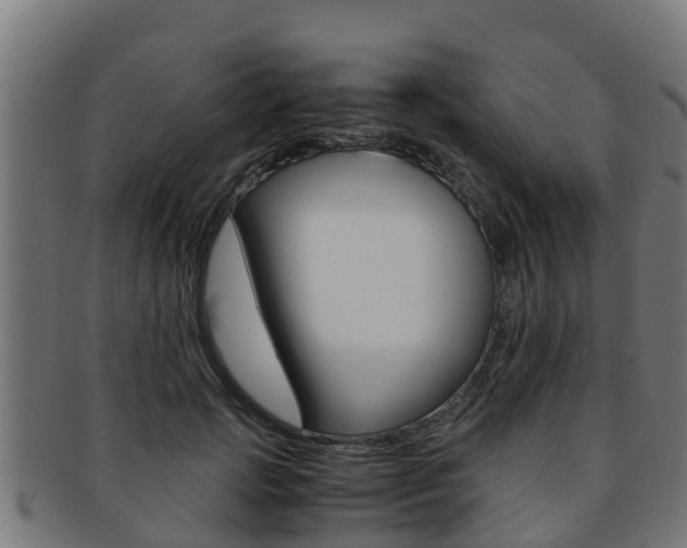 X0000091980749200709061152