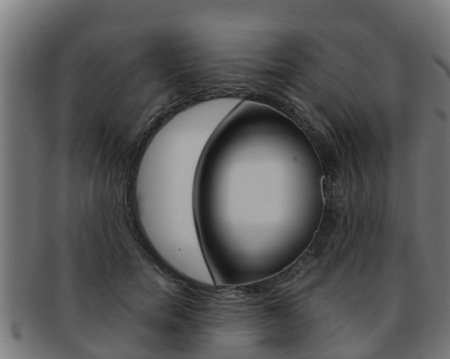 X0000091980750200709061152