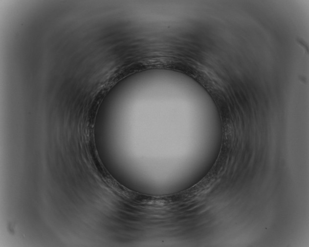 X0000091980751200709061152
