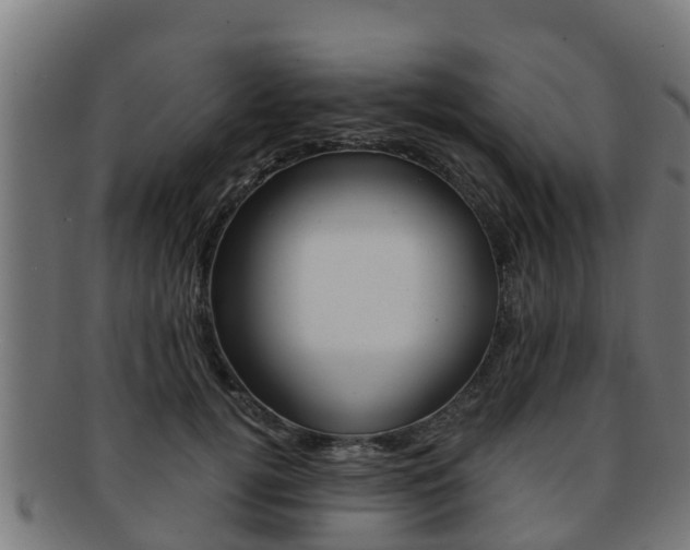 X0000091980752200709061152
