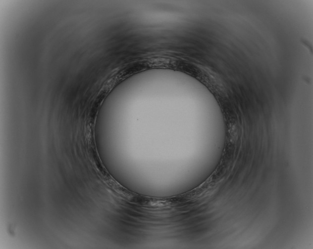 X0000091980753200709061152