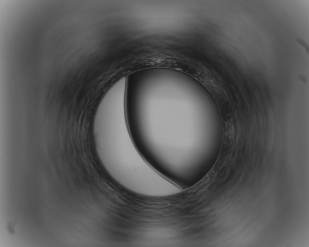 X0000091980754200709061152