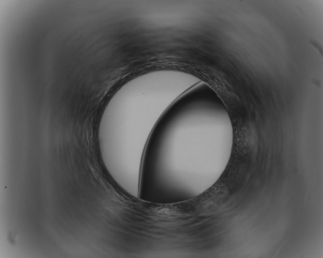 X0000091980755200709061152