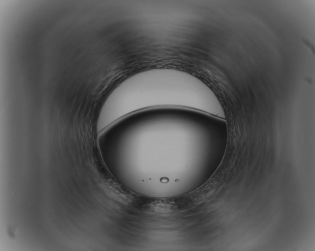 X0000091980756200709061152