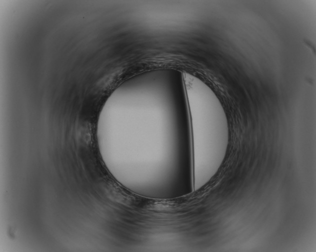 X0000091980758200709061152