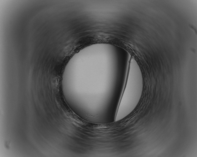 X0000091980759200709061152