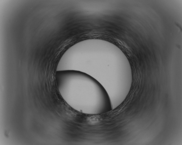 X0000091980761200709061152