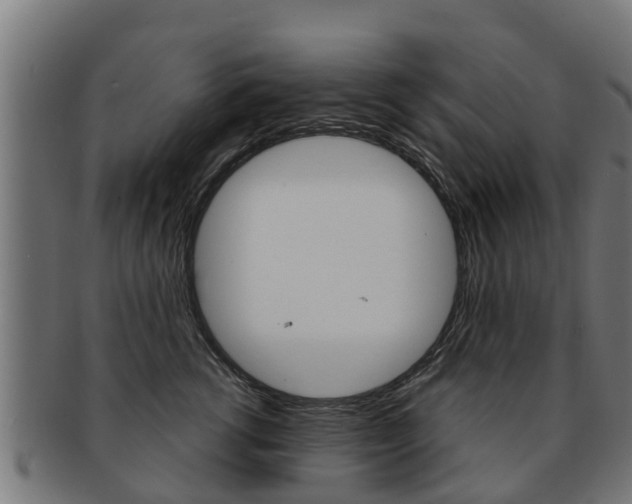 X0000091980762200709061152