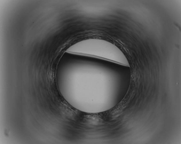 X0000091980763200709061152