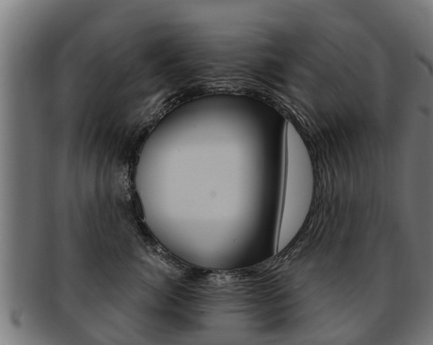 X0000091980764200709061152