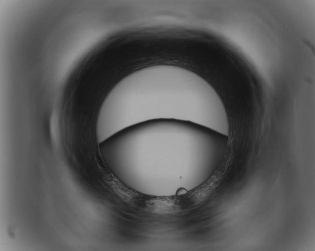 X0000091980765200709061152