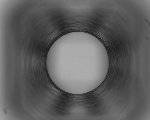 X0000091980766200709061152