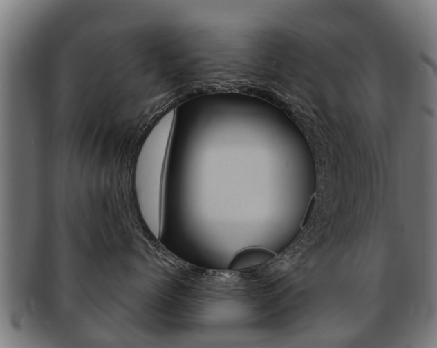 X0000091980768200709061152