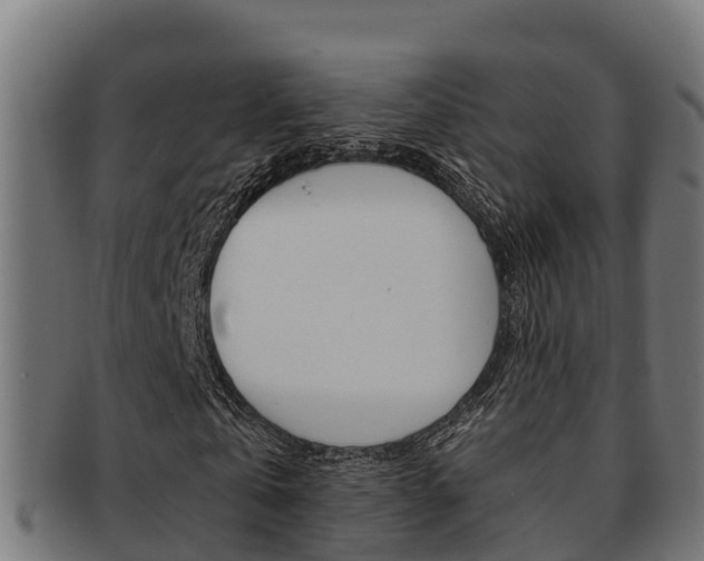 X0000091980769200709061152