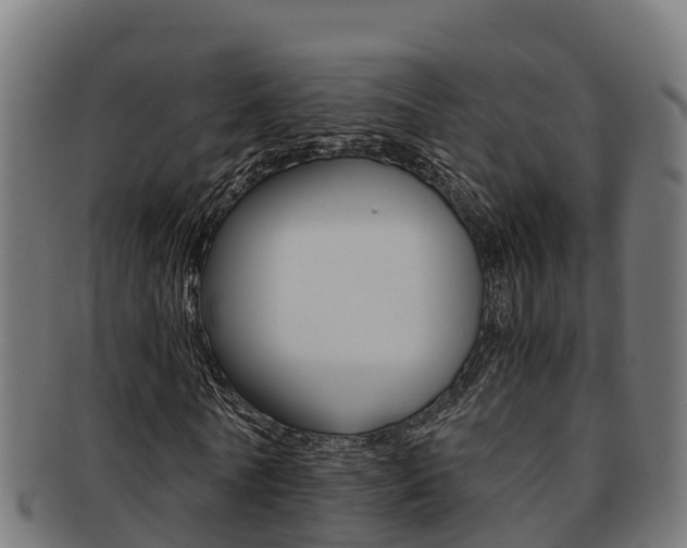 X0000091980770200709061152