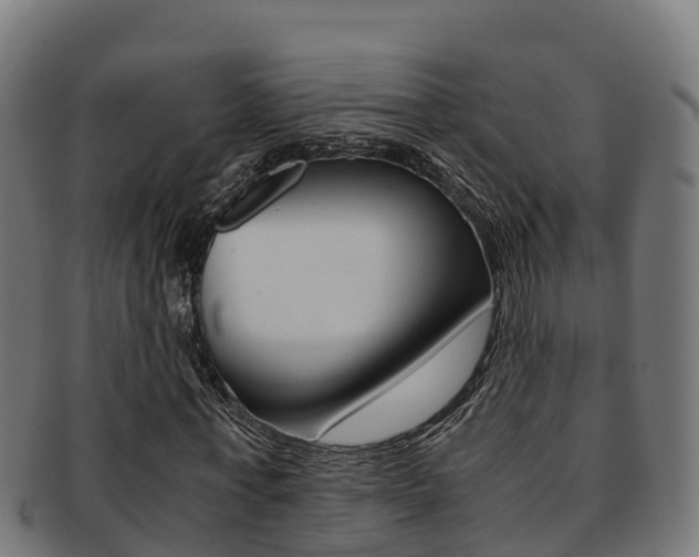X0000091980771200709061152