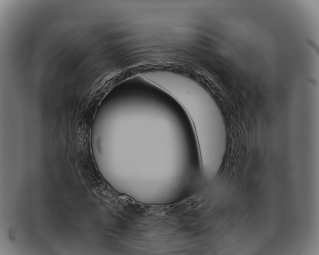 X0000091980773200709061152