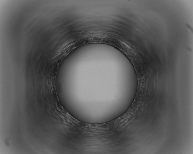 X0000091980774200709061152