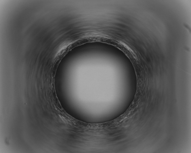 X0000091980775200709061152
