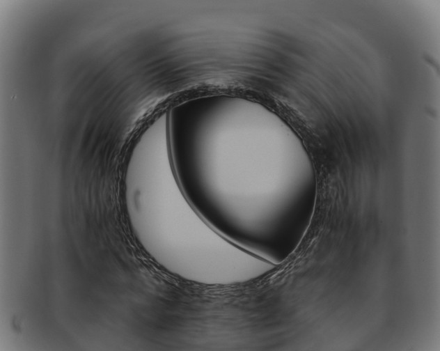 X0000091980776200709061152