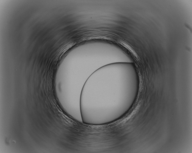 X0000091980777200709061152