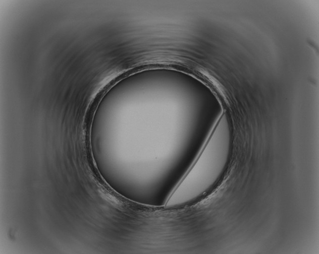 X0000091980779200709061152