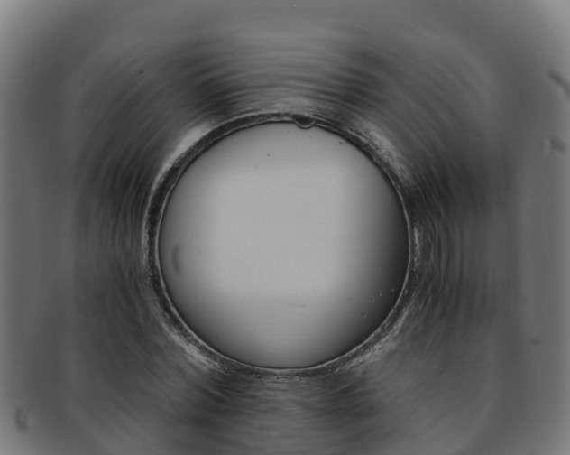 X0000091980780200709061152
